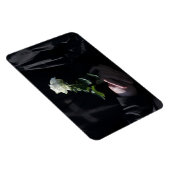 最後の白いバラ マグネット (右側)