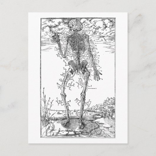 最後の神経 – ハロウィーンスケルトン ポストカード (正面)