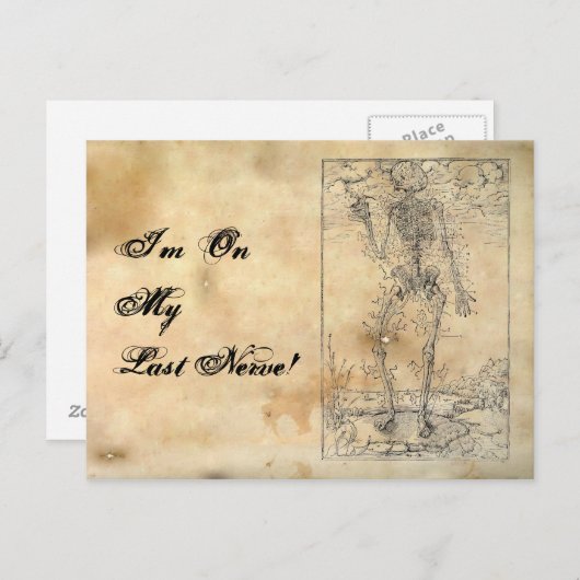 最後の神経 – ハロウィーンスケルトン ポストカード (正面/裏面)