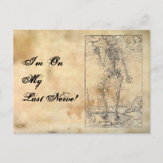 最後の神経 – ハロウィーンスケルトン ポストカード (正面)