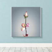 最後の花びらまで… キャンバスプリント (インサイチュ (ウッドフロア))