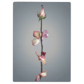 最後の花びらまで… クリップボード (裏面)