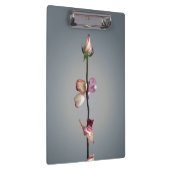 最後の花びらまで… クリップボード (右)