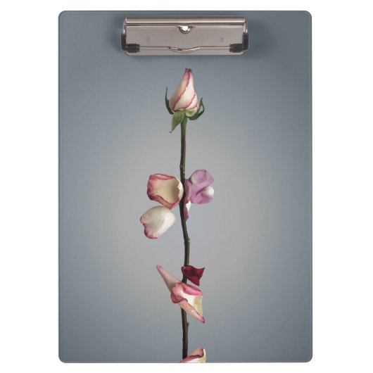 最後の花びらまで… クリップボード (正面)