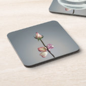 最後の花びらまで… コースター (左側)