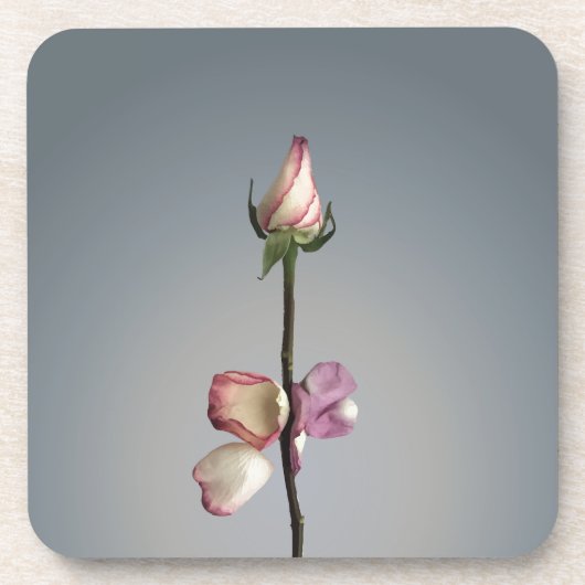 最後の花びらまで… コースター (正面)