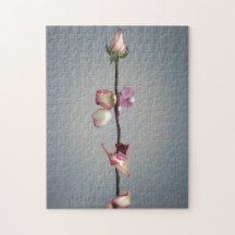 最後の花びらまで…