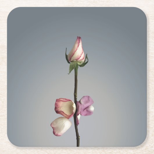 最後の花びらまで… スクエアペーパーコースター (正面)