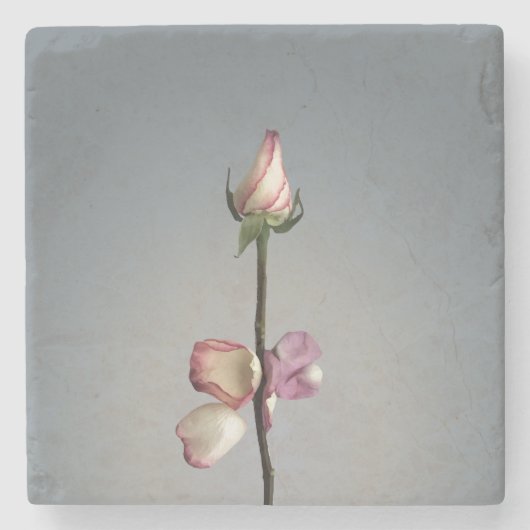 最後の花びらまで… ストーンコースター (正面)