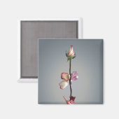 最後の花びらまで… マグネット (正面/裏面)