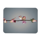 最後の花びらまで… マグネット (横)