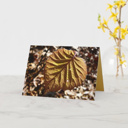 最後の葉 カード (黄色い花)