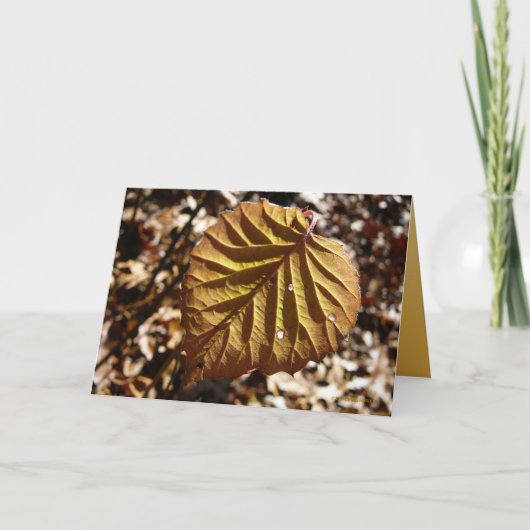 最後の葉 カード (正面)