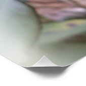最後の赤いバラ ポスター (コーナー)