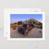 『最後の野生の馬のおじさんのトウの子』 ポストカード (正面/裏面)