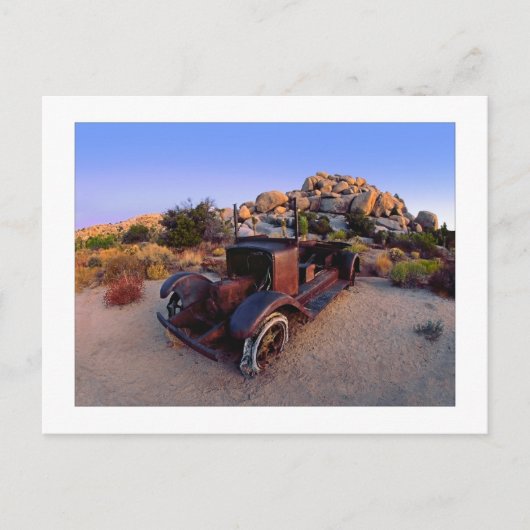 『最後の野生の馬のおじさんのトウの子』 ポストカード (正面)