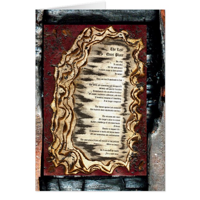 最後の静かな場所 (正面)