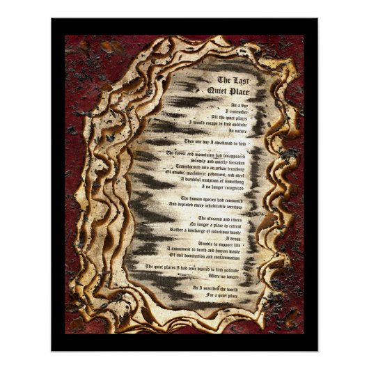 最後の静かな場所 ポスター (正面)
