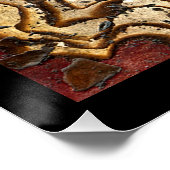 最後の静かな場所 ポスター (コーナー)