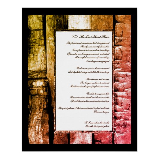 最後の静かな場所 ポスター (正面)