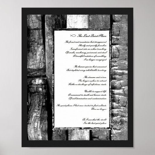 最後の静かな場所 ポスター (正面)