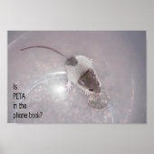 最後の1回 ポスター (正面)