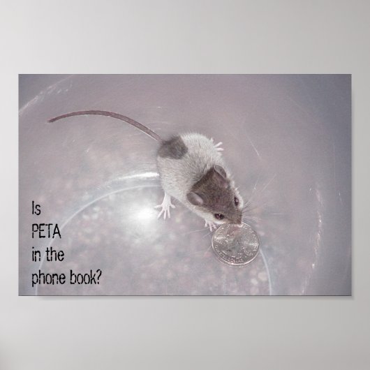 最後の1回 ポスター (正面)