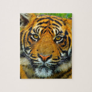 最後のTiger ジグソーパズル