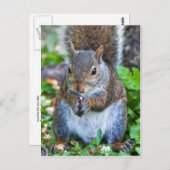 最後まで良い ポストカード (正面/裏面)