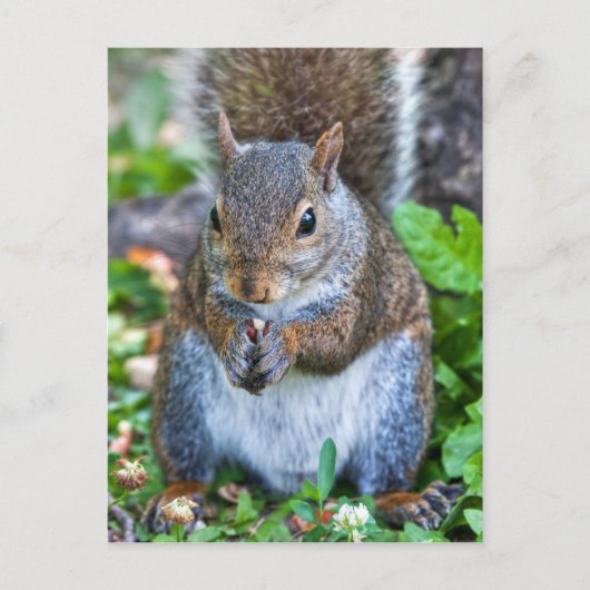 最後まで良い ポストカード (正面)