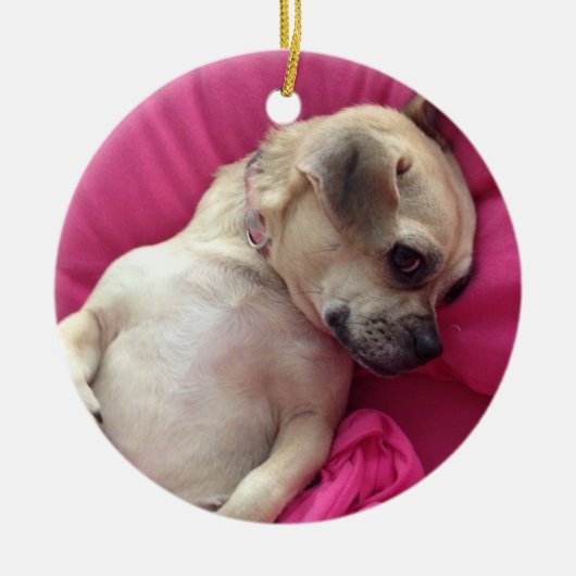 最愛の子犬の汽笛の音犬のクリスマスのオーナメントのピンク セラミックオーナメント (正面)
