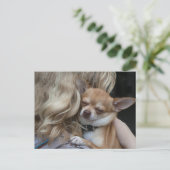 最愛の ポストカード (スタンド正面)