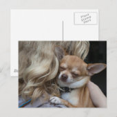 最愛の ポストカード (正面/裏面)