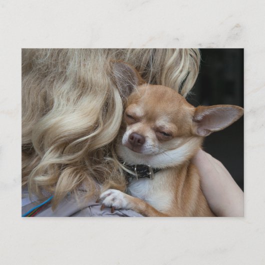 最愛の ポストカード (正面)