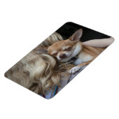 最愛の マグネット (左側)