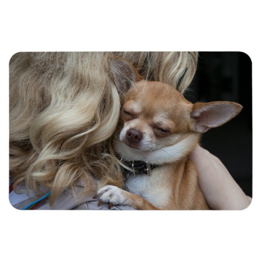 最愛の マグネット (横)