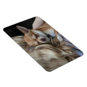 最愛の マグネット (右側)