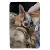 最愛の マグネット (縦)