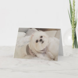 最愛のAvaの白いシーズー（犬）のTzuの子犬のクリスマスカード シーズンカード