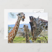 最新のニュースはポストカード ポストカード (正面/裏面)