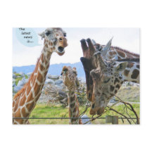 最新のニュースはポストカード