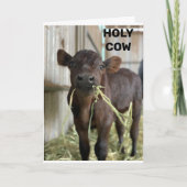 最新のMOOは、***50**** カード (正面)