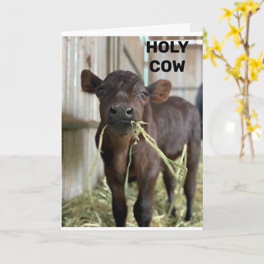 最新のMOOは、***50**** カード (黄色い花)