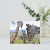 最新ニュースはがきである ポストカード (スタンド正面)