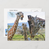 最新ニュースはがきである ポストカード (正面/裏面)