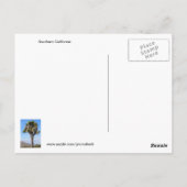 最新ニュースはがきである ポストカード (裏面)