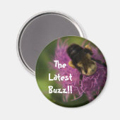 最新バズ!! マグネット (正面/裏面)