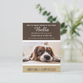 最新会員の「New Dog」の発表を待つ ポストカード (スタンド正面)