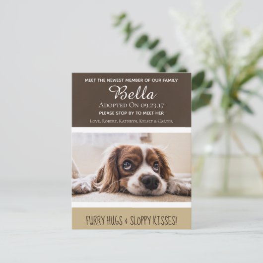 最新会員の「New Dog」の発表を待つ ポストカード (スタンド正面)