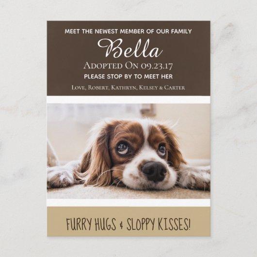 最新会員の「New Dog」の発表を待つ ポストカード (正面)